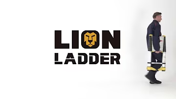 Lionladder Company Values